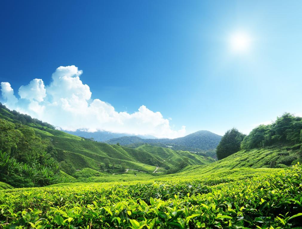 Homestay Cameron Highlands Mikayla Eksteriør bilde